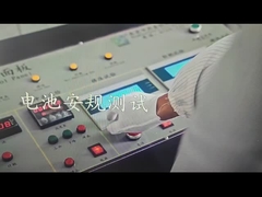 Lithiumpolymerbatterie