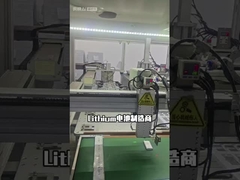 Lithiumpolymerbatterie