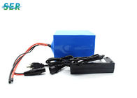 Kundengebundenes tragbares LiFePO4 Lithium-Batterie 24V Soem für UPS/Boots-Motor/Automobil